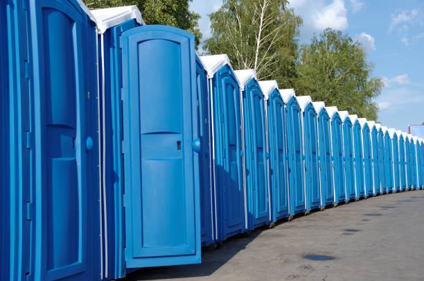 Best Porta potty rental for festivals  in Glencoe, MN